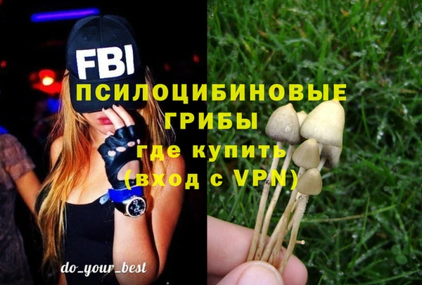 ALPHA PVP Армянск